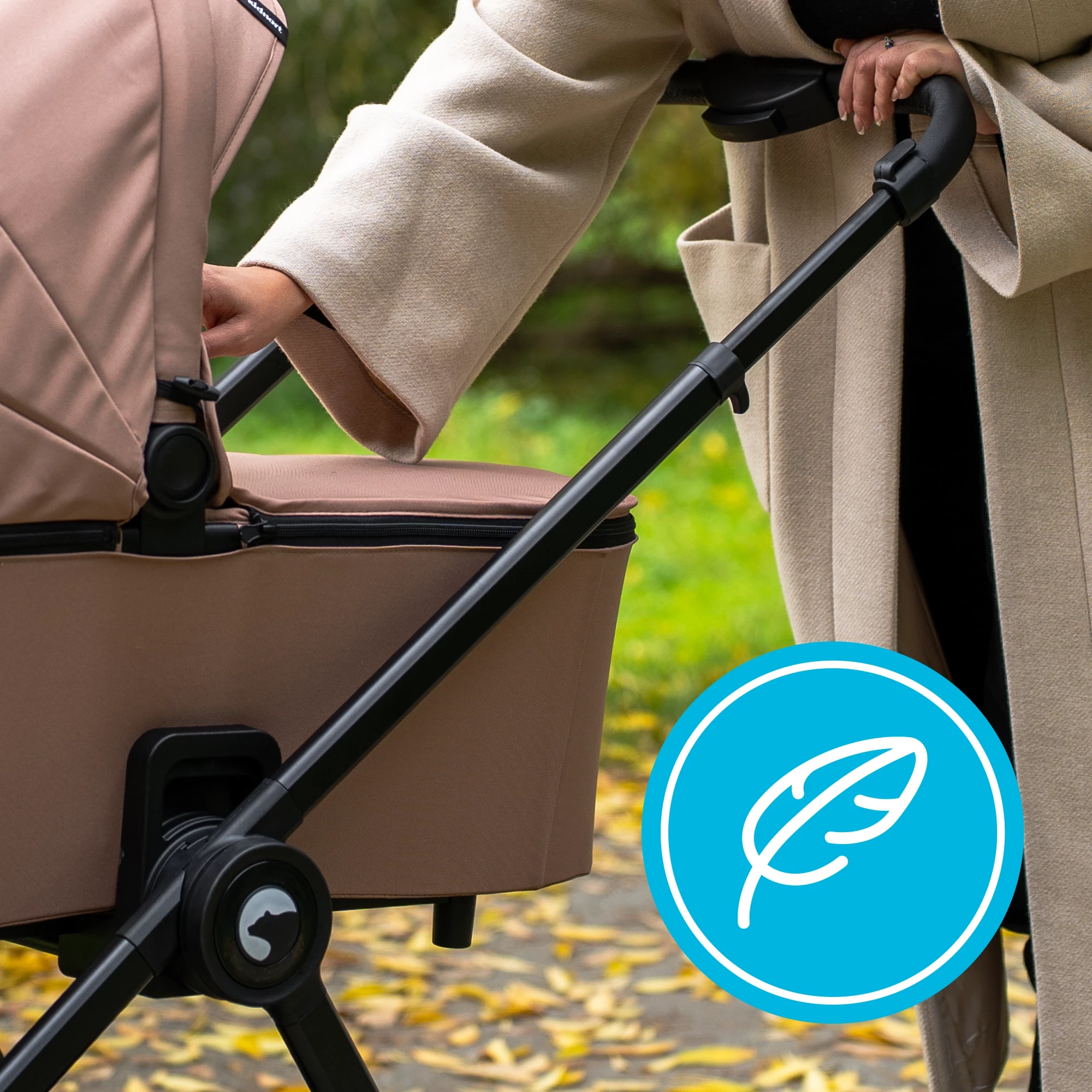 image-text-and-photo